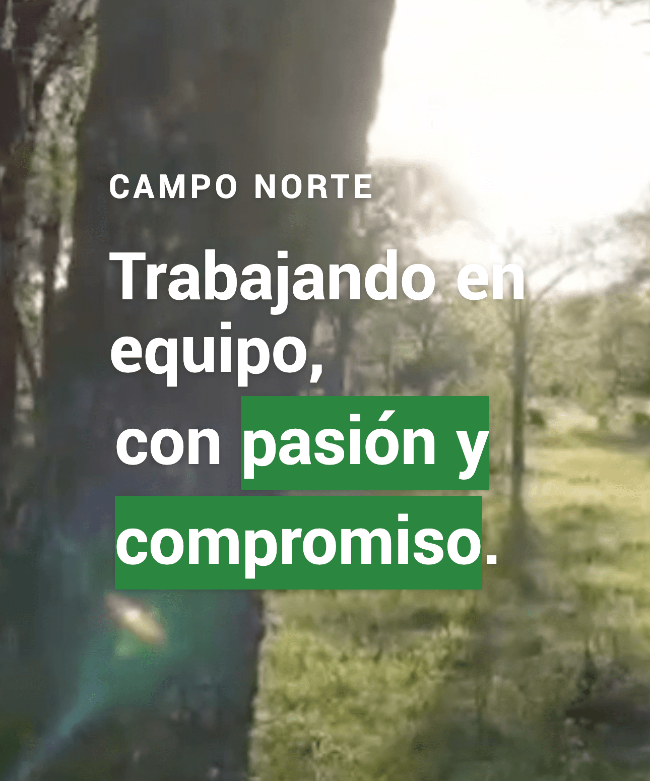 Captura de pantalla de CampoNorte